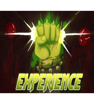 Experience 2016 Steam Key GLOBAL